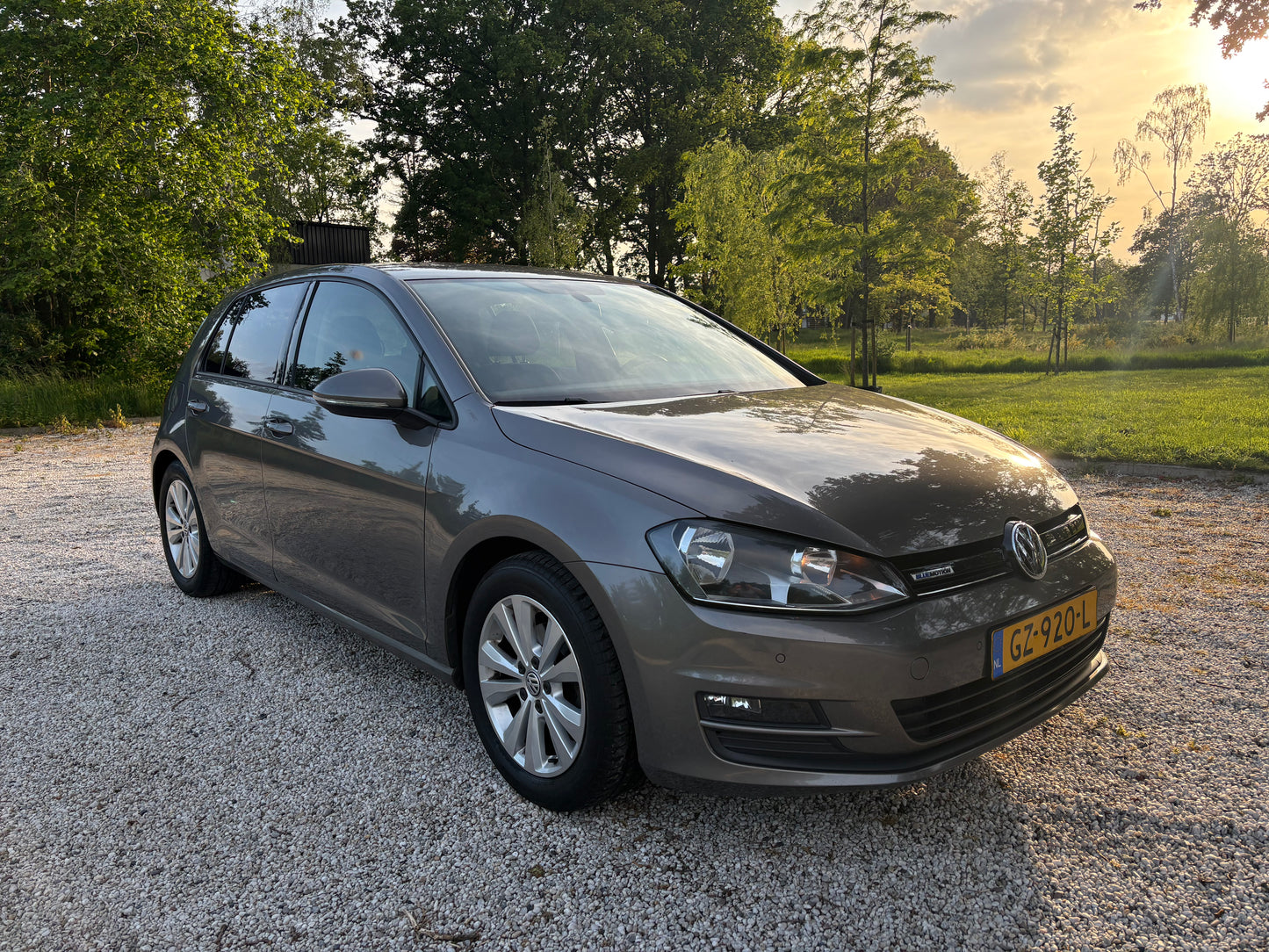 Volkswagen Golf 1.0 TSI 85KW DSG 5D 2015 Grijs