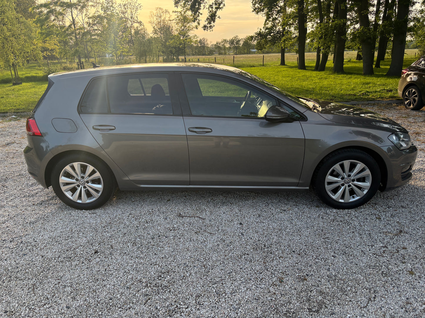 Volkswagen Golf 1.0 TSI 85KW DSG 5D 2015 Grijs