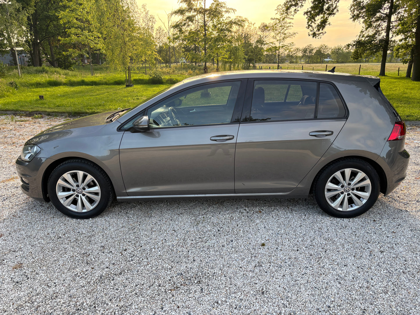 Volkswagen Golf 1.0 TSI 85KW DSG 5D 2015 Grijs