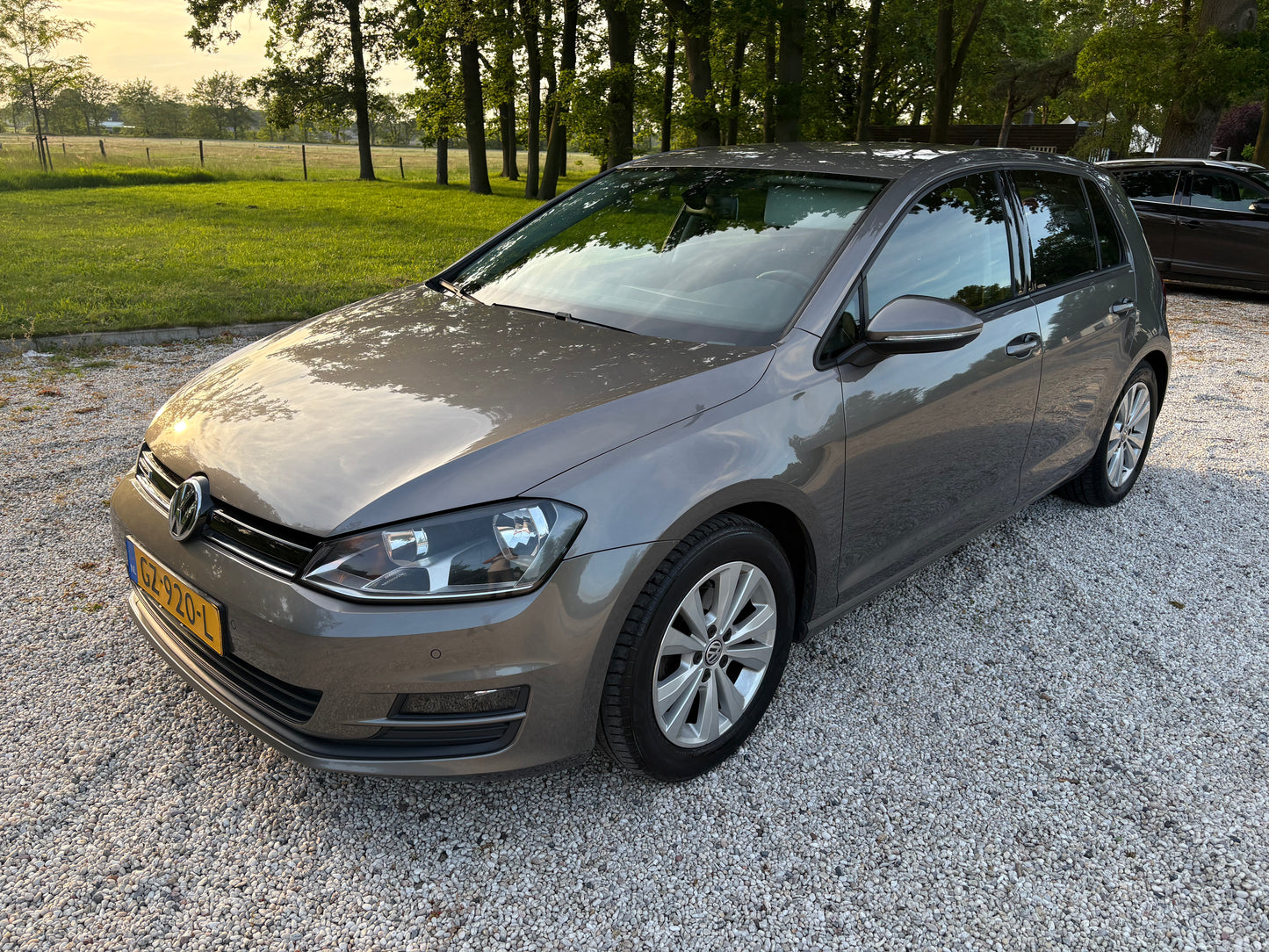Volkswagen Golf 1.0 TSI 85KW DSG 5D 2015 Grijs